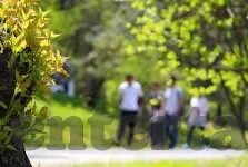 麻豆传媒app苹果下载破解版-网络空间中的虚假与真实，麻豆传媒app苹果下载破解版之谜